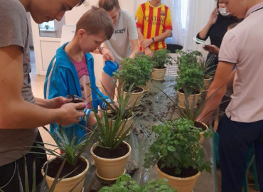 Цветок сироте: в Ростове-на-Дону волонтеры учат малышей из детских домов заботиться о комнатных растениях